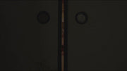 [LPFD-339] Kyonyu Tensei (DVD)