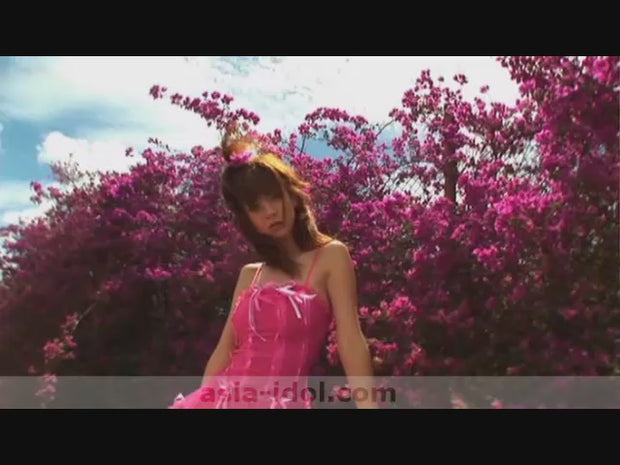 [FDKD-2] Hoshino Tours DVD
