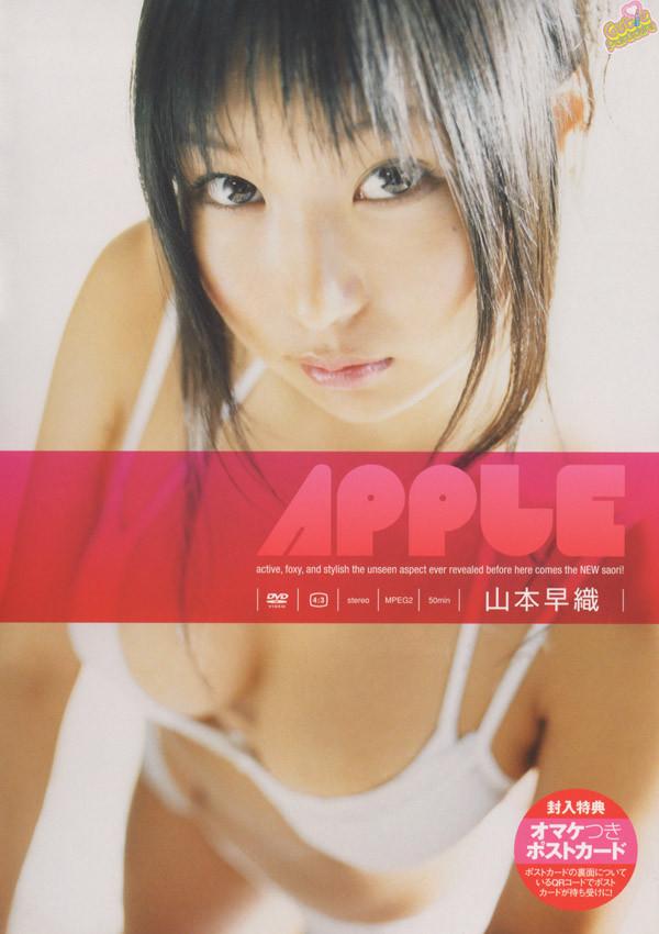 [fdgd-22] apple dvd