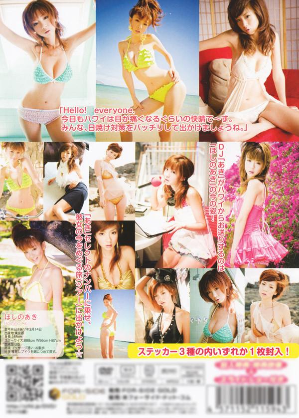 [fdkd-2] hoshino tours dvd