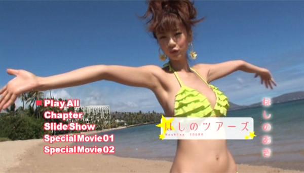 [fdkd-2] hoshino tours dvd