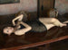 [gbdv-10002] bakunyu paradise dvd