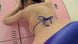 [lcbd-691] amafumi x netsufumi [blu-ray]