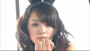 [lcdv-40443] final 1/2 ai wonderland dvd