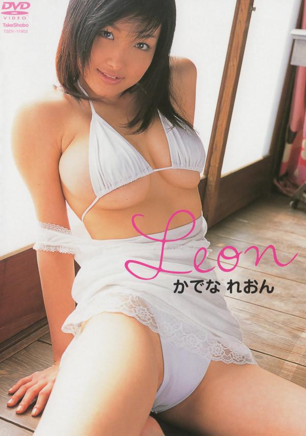 [tsdv-11903] leon dvd